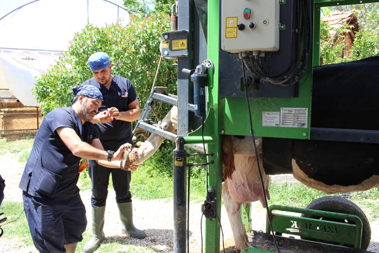 Antalya Büyükşehir’den çobanlara destek