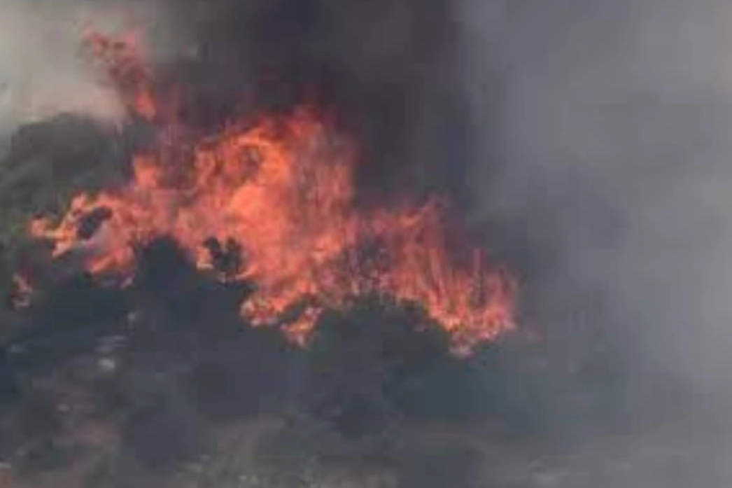 Edirne Keşan yangınında 13 hektar alan zarar gördü